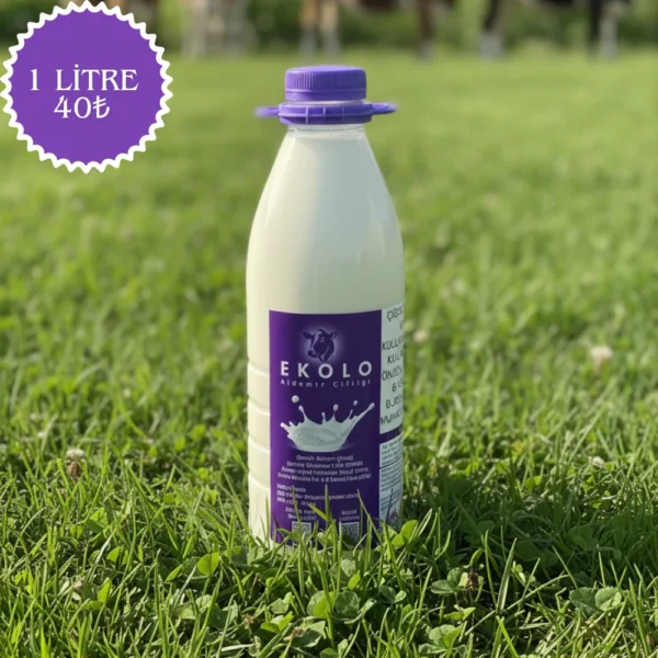 Süt 1 Litre